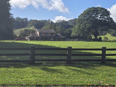 House For Sale - NSW - Bonville - 2450 - The BEST 5 Acres In BONVILLE  (Image 2)