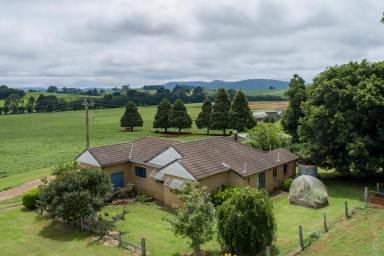 Cropping Sold - NSW - Dorrigo - 2453 - Plateau Farms, North Dorrigo  (Image 2)