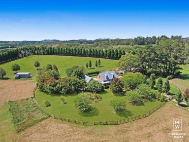 Lifestyle For Sale - NSW - Berrima - 2577 - ‘Foxtales’ Stunning Equine & Hobby Farm  (Image 2)