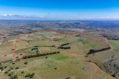 Mixed Farming For Sale - NSW - Golspie - 2580 - Kentucky, Productive and Versatile Grazing plus farming  (Image 2)