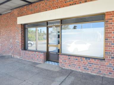 House Sold - NSW - Young - 2594 - The Perfect Set & Forget Commercial Opportunity  (Image 2)