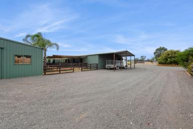 House For Sale - VIC - Huntly - 3551 - Spacious Family Living with Impressive Horse Facilities  (Image 2)