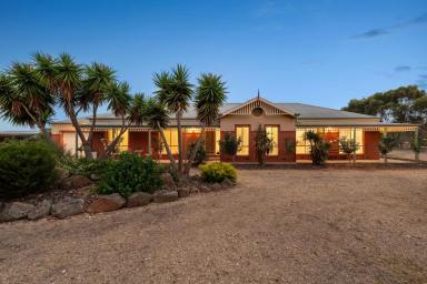 House For Sale - VIC - Huntly - 3551 - Spacious Family Living with Impressive Horse Facilities  (Image 2)