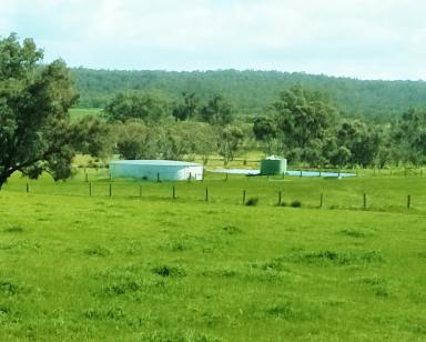 Lifestyle For Sale - WA - Wandering - 6308 - WANDERING FARM!  (Image 2)