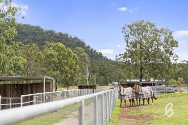 Other (Rural) Sold - NSW - Bulga - 2330 - "Rowdy River Ranch" | Equine Lovers Paradise  (Image 2)