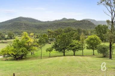 Lifestyle For Sale - NSW - Bulga - 2330 - Private Rural Escape  (Image 2)