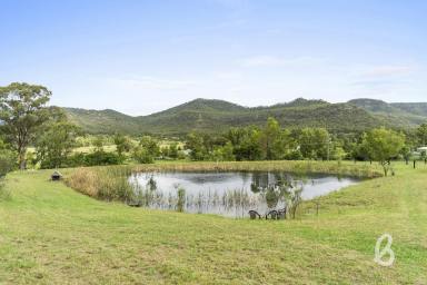 Lifestyle Sold - NSW - Bulga - 2330 - Private Rural Escape  (Image 2)