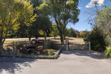House For Sale - NSW - Murrumbateman - 2582 - Space, Privacy & Sheds Galore  (Image 2)