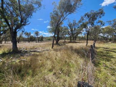 Lifestyle For Sale - QLD - Stanthorpe - 4380 - 197 ACRES WITH DOUBLE CREEK FRONTAGE  (Image 2)