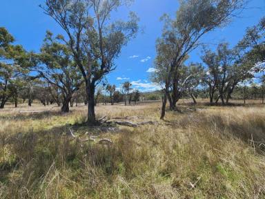 Lifestyle For Sale - QLD - Stanthorpe - 4380 - 197 ACRES WITH DOUBLE CREEK FRONTAGE  (Image 2)