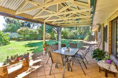 House For Sale - VIC - Merbein - 3505 - SPACIOUS HOME SET IN A PRIVATE OASIS  (Image 2)