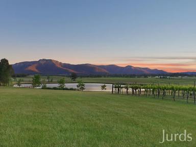 Lifestyle Sold - NSW - Broke - 2330 - Binbilla Vineyard Estate – Hunter Valley Wine Country  (Image 2)