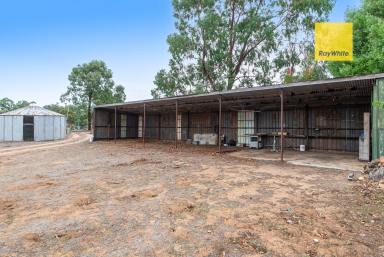 House For Sale - WA - Nannup - 6275 - Acreage neighbouring the Blackwood River  (Image 2)