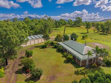 Acreage/Semi-rural For Sale - QLD - Glastonbury - 4570 - Whispering Gums - A Lifestyle Choice.  (Image 2)