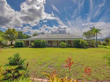 Acreage/Semi-rural For Sale - QLD - Glastonbury - 4570 - Whispering Gums - A Lifestyle Choice.  (Image 2)