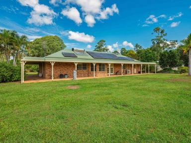 Acreage/Semi-rural For Sale - QLD - Glastonbury - 4570 - Whispering Gums - A Lifestyle Choice.  (Image 2)