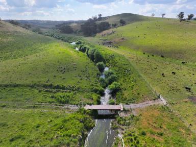 Mixed Farming For Sale - NSW - Rockley - 2795 - IMPROVED PASTURES ON BASALT SOILS  (Image 2)