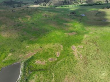Mixed Farming For Sale - NSW - Rockley - 2795 - IMPROVED PASTURES ON BASALT SOILS  (Image 2)