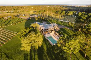 Lifestyle For Sale - NSW - Coolangatta - 2535 - Stunning Lifestyle Property - Mountain Ridge Wines (Image 2)