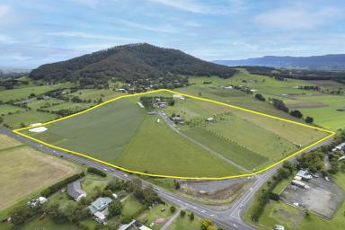 Lifestyle For Sale - NSW - Coolangatta - 2535 - Stunning Lifestyle Property - Mountain Ridge Wines  (Image 2)