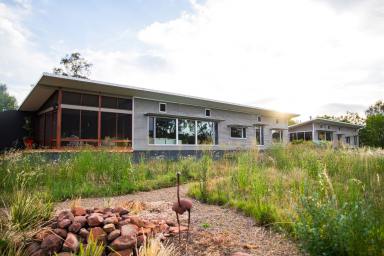 Lifestyle For Sale - NSW - Forbes - 2871 - Genuine Experience In Contemporary Green Living  (Image 2)