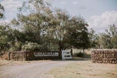 Lifestyle For Sale - NSW - Forbes - 2871 - Genuine Experience In Contemporary Green Living  (Image 2)