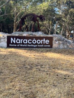 Residential Block For Sale - SA - Naracoorte - 5271 - Prime Land Opportunity on 2,778 sqm Build Your Dream Home!  (Image 2)
