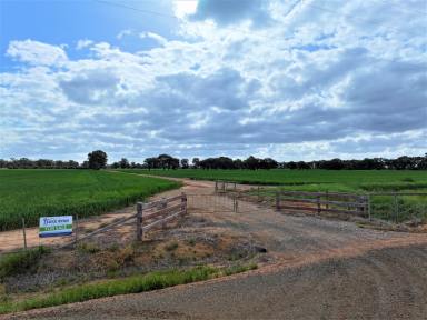 Cropping For Sale - VIC - Rochester - 3561 - 145 ACRES IRRIGATED- LOAM SOILS  (Image 2)