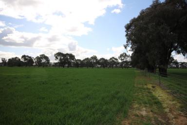Cropping For Sale - VIC - Rochester - 3561 - 145 ACRES IRRIGATED- LOAM SOILS  (Image 2)