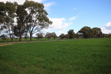 Cropping For Sale - VIC - Rochester - 3561 - 145 ACRES IRRIGATED- LOAM SOILS  (Image 2)