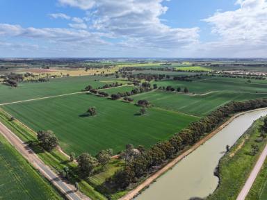 Cropping For Sale - VIC - Rochester - 3561 - 145 ACRES IRRIGATED- LOAM SOILS  (Image 2)