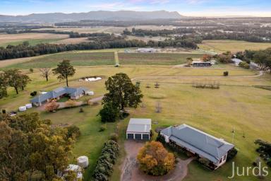 Lifestyle Sold - NSW - Lovedale - 2325 - Hunter Valley Estate - Homestead & Established Income  (Image 2)