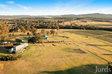 Lifestyle For Sale - NSW - Lovedale - 2325 - Hunter Valley Estate - Homestead & Established Income  (Image 2)