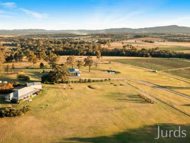 Lifestyle For Sale - NSW - Lovedale - 2325 - Hunter Valley Estate - Homestead & Established Income  (Image 2)