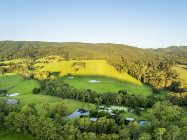 Lifestyle For Sale - NSW - Dungog - 2420 - Luxury Living on 105 Acres: Elite NSW Country Estate OPEN HOME BY REGISTARTION SAT 21ST AT 11 AM  (Image 2)