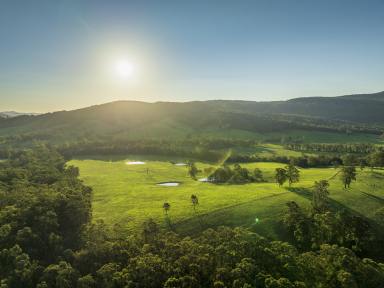 Lifestyle For Sale - NSW - Dungog - 2420 - Luxury Living on 105 Acres: Elite NSW Country Estate  (Image 2)