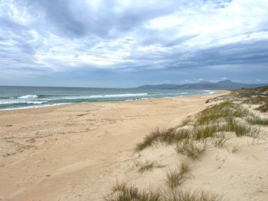 Residential Block For Sale - TAS - Scamander - 7215 - Big Beachside Block with Amenities Unit, Plumbing & Electricity.  (Image 2)