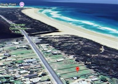 Residential Block For Sale - TAS - Scamander - 7215 - Big Beachside Block with Amenities Unit, Plumbing & Electricity.  (Image 2)