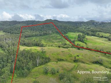 Lifestyle For Sale - NSW - Bobin - 2429 - 102 Acres of Opportunity – Off-Grid Potential, Natural Water, and Total Privacy in Bobin  (Image 2)
