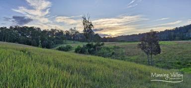 Lifestyle For Sale - NSW - Bobin - 2429 - 102 Acres of Opportunity – Off-Grid Potential, Natural Water, and Total Privacy in Bobin  (Image 2)
