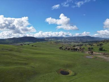 Residential Block For Sale - VIC - Tangambalanga - 3691 - "Bluff View"
Location, Location, Location, get in quick these blocks don't hang around long.  (Image 2)