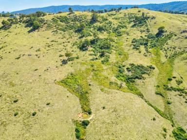 Residential Block For Sale - VIC - Jarvis Creek - 3700 - Opportunity knocks, genuine lifestyle/recreation block  (Image 2)