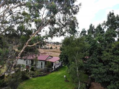 House For Sale - VIC - Beechworth - 3747 - Buy Together, Live Independently — Dual Living Acreage in Beechworth  (Image 2)