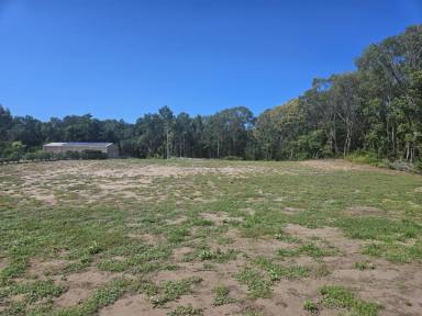 Residential Block For Sale - QLD - Forrest Beach - 4850 - 6,800 SQ.M. (WELL OVER 1.5 ACRE) BLOCK OF BEACH LAND!  (Image 2)