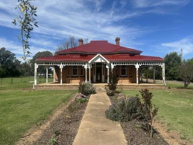 House For Sale - NSW - Wellington - 2820 - RARE FIND  (Image 2)