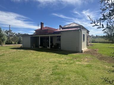 House For Sale - NSW - Wellington - 2820 - RARE FIND  (Image 2)