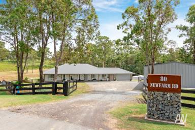 House For Sale - QLD - Chatsworth - 4570 - Modern Acreage Living the Family will LOVE  (Image 2)