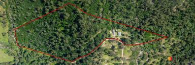 House For Sale - NSW - Nelligen - 2536 - PRIVACY, LIFESTYLE & POTENTIAL ON 40 ACRES (Image 2)