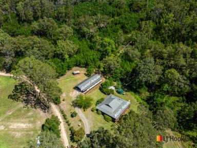 House For Sale - NSW - Nelligen - 2536 - PRIVACY, LIFESTYLE & POTENTIAL ON 40 ACRES (Image 2)