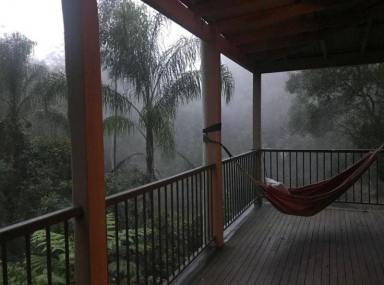 Acreage/Semi-rural For Sale - NSW - Bandon Grove - 2420 - Discover your dream escape at Gully Falls House—an idyllic rainforest retreat.  (Image 2)